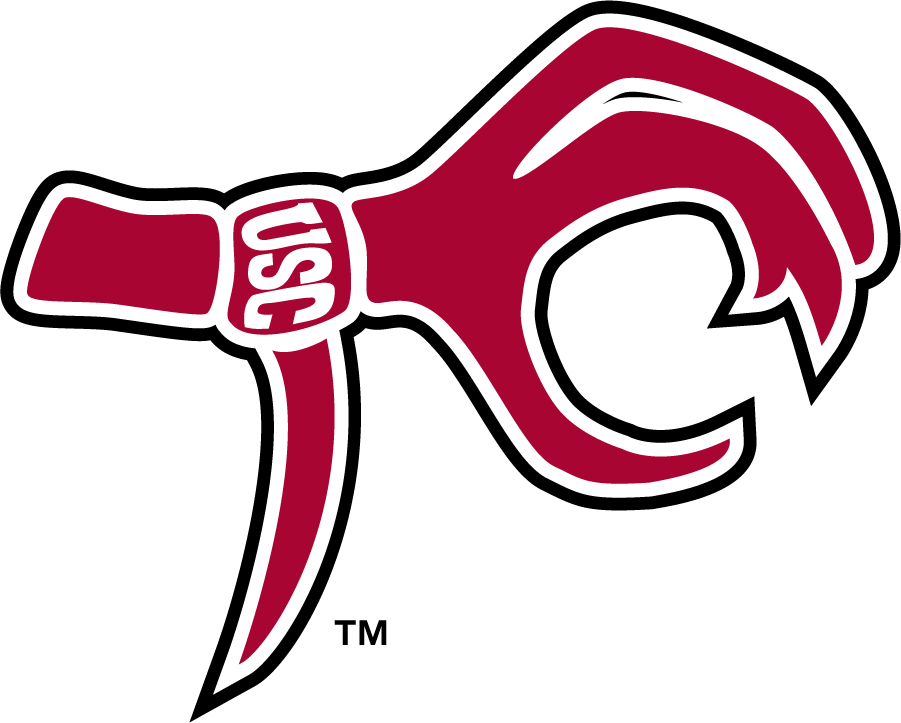 South Carolina Gamecocks 2006-2008 Misc Logo diy iron on heat transfer